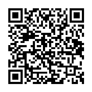 再深入地将五行果大会上发生的事情联系在一起二维码生成