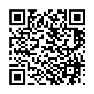 再然后就是渡过天劫成为真正的域主二维码生成