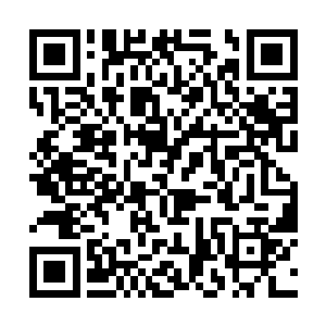 再由人力把他们捞起来挑到麦田或者油菜田里面泼洒二维码生成