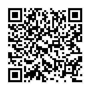 再看另外一男一女两个稚气未脱一脸懵懂的实习生二维码生成