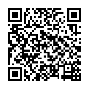 再看看四周那些宝物在其面前都是低下了高贵的头颅二维码生成