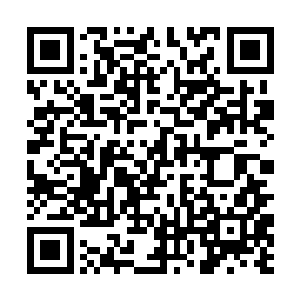 再看看围在女子身边的几十个蠢蠢欲动的地头蛇成员二维码生成