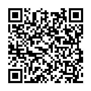 再看看菩提子那满脸淡然的笑容和看着远方的眼神二维码生成