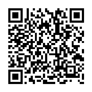 再看看衣垦拿出来的那把看起来就很普通的矛头二维码生成
