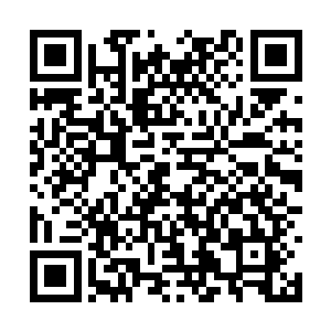 再看着倒在地上真的好像已经坚持不了多久的尹苏二维码生成