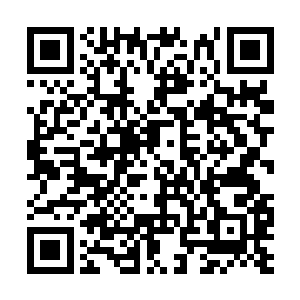 再看那个老板娘则头上戴着一个龙小宝熟悉的玩意二维码生成