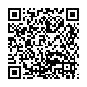 再等等吧……再等等吧……说不定明天妹妹就出来了呢二维码生成