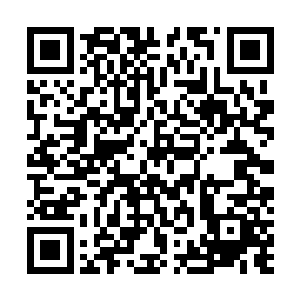 再结合回忆起那些当初带我们过境的女人都拿着大包小包二维码生成