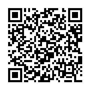 再者……那个防御力场上的缺口也没有要复原的迹象二维码生成