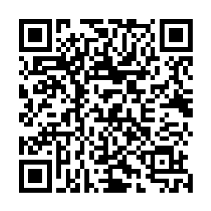 再者刚才清虚真人的态度也表明此人地位修为绝对是顶尖的二维码生成