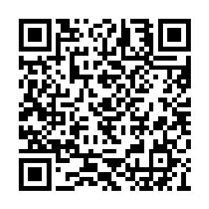 再者龙傲天现在手中可是拥有着一座移动的宝库二维码生成