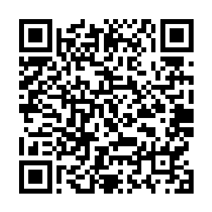再联想到之前崔尼蒂一系列不符合正常人类的动作和搏击二维码生成