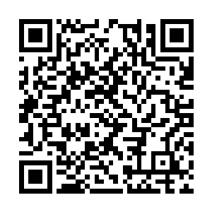 再花费六七个月的水磨工夫就是剩下半扇的问题了二维码生成