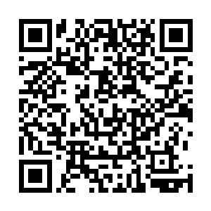 再见这原本面黄肌瘦的俩小姑娘才多少日没见便胖了许多二维码生成