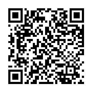 再说了封印空间兽的部位距离这里可是有二十余万里呢二维码生成