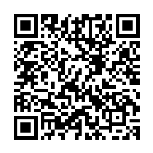再说了贝海实在是无法在自家孩子期盼眼神的注视之下说不行二维码生成