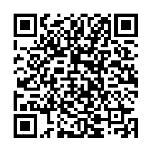 再说你的性命如今可是关乎着我司马家布置了数百年的大业二维码生成