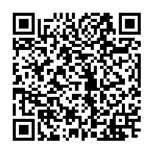 再说即便真的是白长卿放火烧的皇陵凤君泽也不会真的因为此事杀了白长卿二维码生成