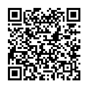 再说她们之间隐约的对抗关系并没牵涉到个人感情二维码生成