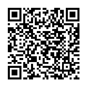 再说皇上为了以表对厉王府的厚待肯定会派重兵维护二维码生成