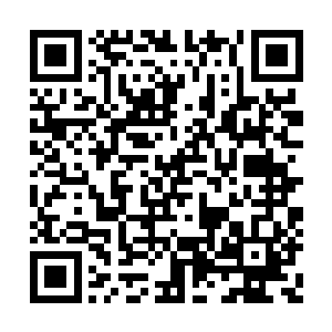 再说能惹得当朝首辅不惜代价全力出手对付的人二维码生成