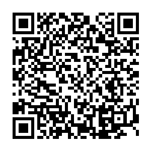 再说那五毒教教主当初插手了对付秦家之事有这么一个结果很正常二维码生成