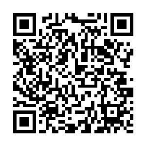 再转头看另一边被无数民众拥簇着向山林里而去的谢柔清二维码生成
