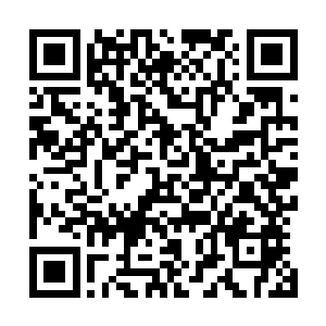 再辅以无数的天才地宝注入果实之中豢养出数以亿万的剑芒二维码生成