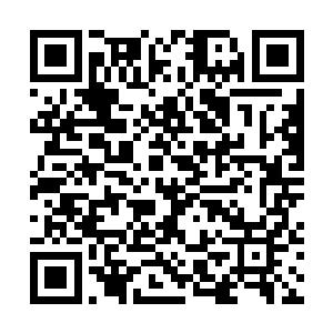 再过几个小时这个月的月票就都要清零啦~~最后一页二维码生成