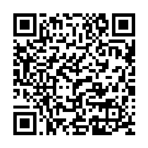 再配合上舆论风向……能把原本根本不可能被列为真正候选的二维码生成