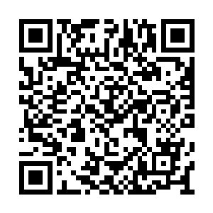 再重新组织起一到两支能够用于野战的机动力量二维码生成