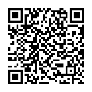 冒险者和警备队的成员们都亲眼看着马文独自一人二维码生成