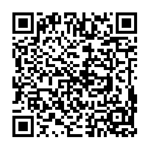 冒险者联盟和星辰冒险团的那些来到圣地的修士也都来到了演武场二维码生成