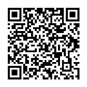 军人出身的他本能的挥起拳头向程国栋的面部击去二维码生成
