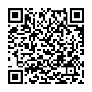 军绿色的军车从树木之间的走道里慢慢的驶进别墅二维码生成