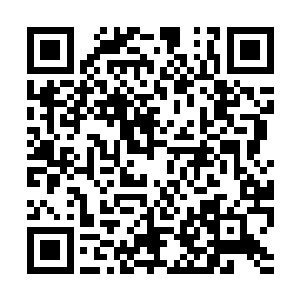 冠军是可以进入到虚空宝库当中挑选出三件法宝的二维码生成