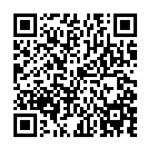 冥修师和晶脑专家牢牢监控着他们的身体和脑域状况二维码生成