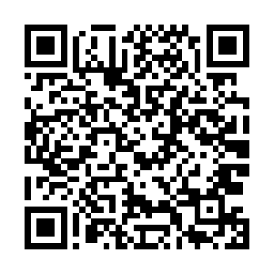 冥凤非常慷慨地将魔法神的神仆名额给了他们中的最强者二维码生成