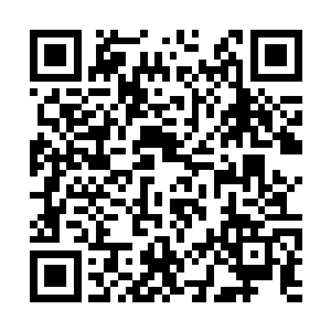 冥王星想要再去阻止林锐的一脚膝撞已经来不及的二维码生成