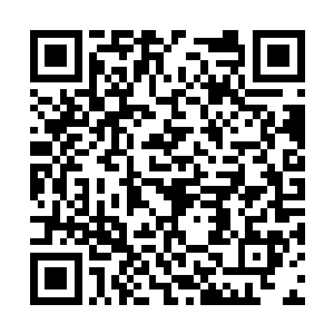 冯二蛋和汪逹朋以及白狐的配合发音让我嘴角抽搐二维码生成