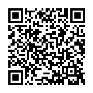 冯堂不知道从哪里的中药铺给宝镜弄了一套银针二维码生成