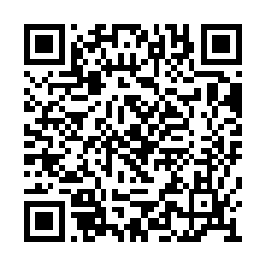 冯娜的父亲就是当初前去营救沈迟的冯离冯主任二维码生成