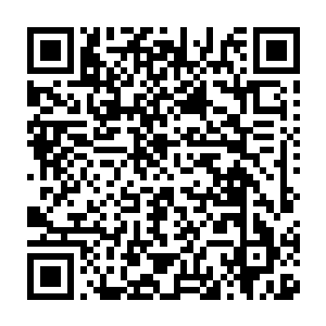 冯文博实在不敢想象会有哪个病人会跑来找师叔这个要文凭没文凭二维码生成