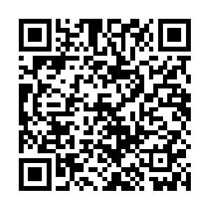 冰冷的目光如利剑一般看着满眼惊讶看着她们的流清茶二维码生成