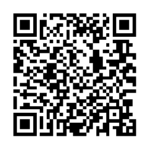 冰原巨熊部落铸造的金币除了分量足够基本可以流通之外二维码生成