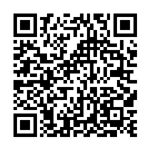 冰宫会在这试炼中拿出如此珍贵的药材让试炼者挖出来二维码生成