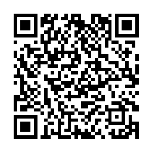 冰山般冷酷的钱世豪居然是听了谈薇她们新专辑里的二维码生成