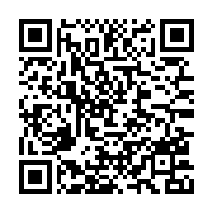 冰川外散落四方海面的鬼王鬼仙正带着残部逃散二维码生成