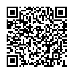 冰族妖王身上的寒血战铠的确有强大的防护能力二维码生成
