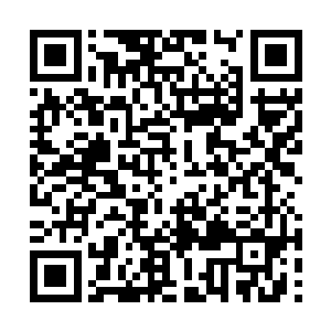 冰箱里的食物都开始变味了……肿么办……不说了二维码生成